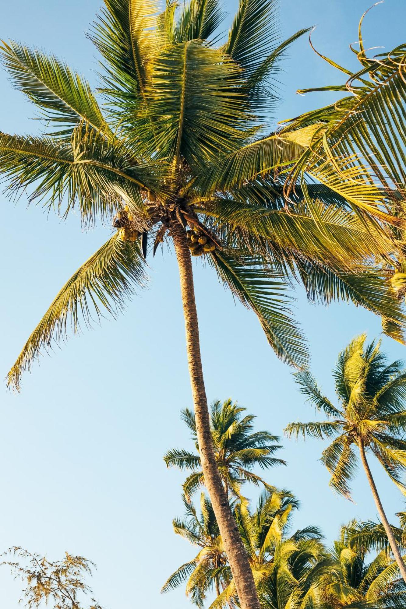 Pili Pili Orient Beach Resort Bwejuu Bagian luar foto